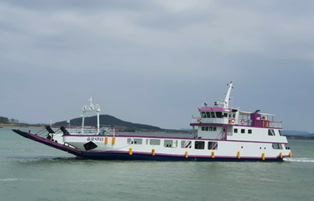 Establishment of cargo and personnel port services using landing ships